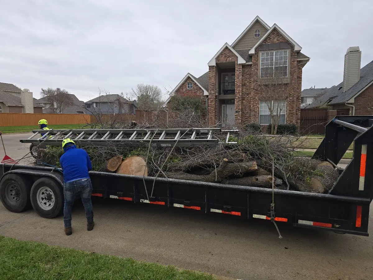 Expert Tree Removal with proper safety equipment in Rixeyville